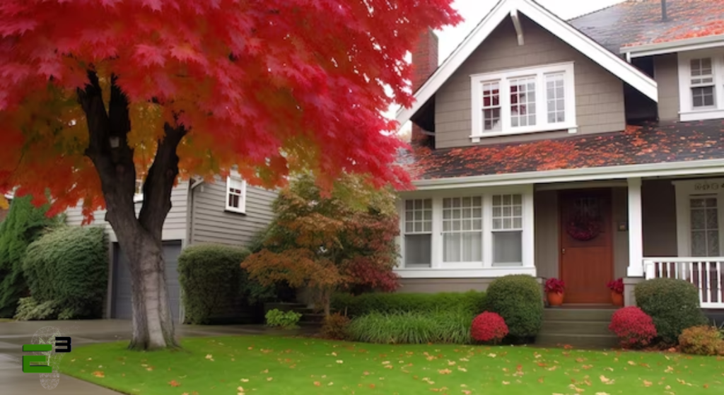 Trees casting shade over the house.