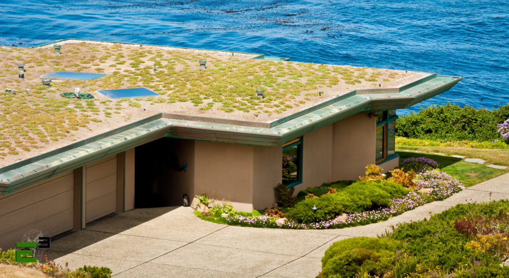 A house with a cool roof of the green roof type